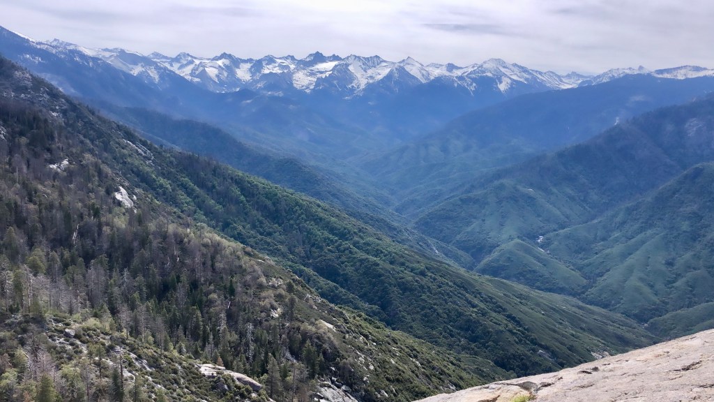 Sequoia & Kings&nbsp;Canyon