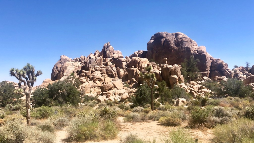 Joshua Tree National&nbsp;Park
