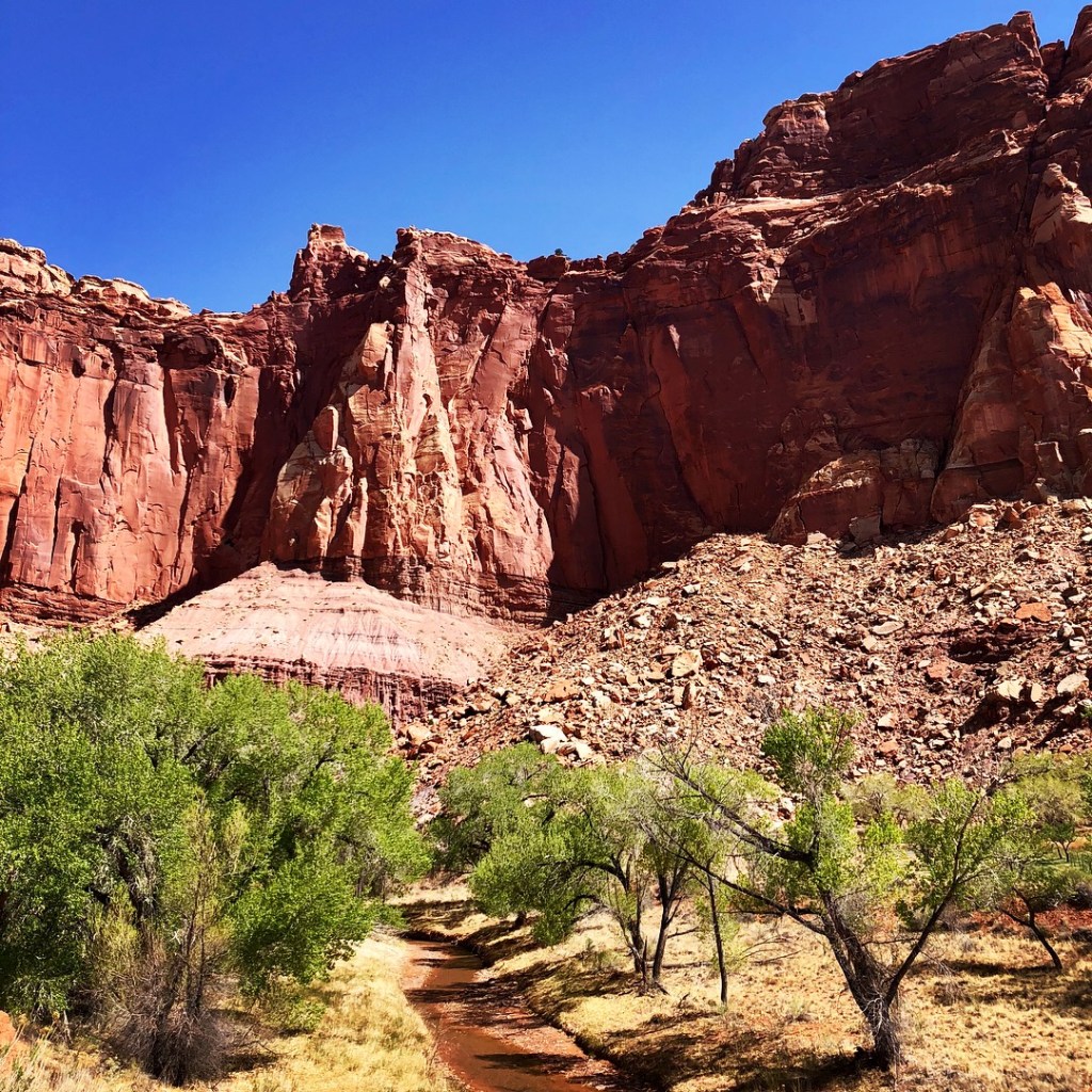 Capitol Reef National&nbsp;Park