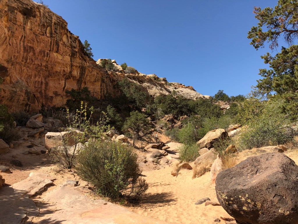Capitol Reef National Park