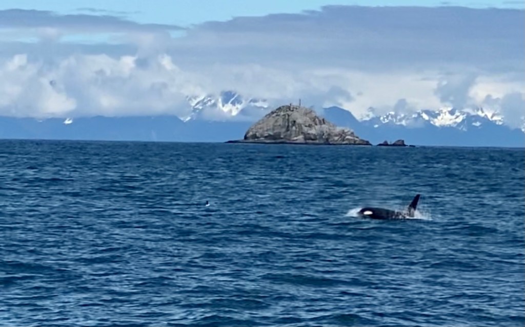 Kenai Fjords National Park
