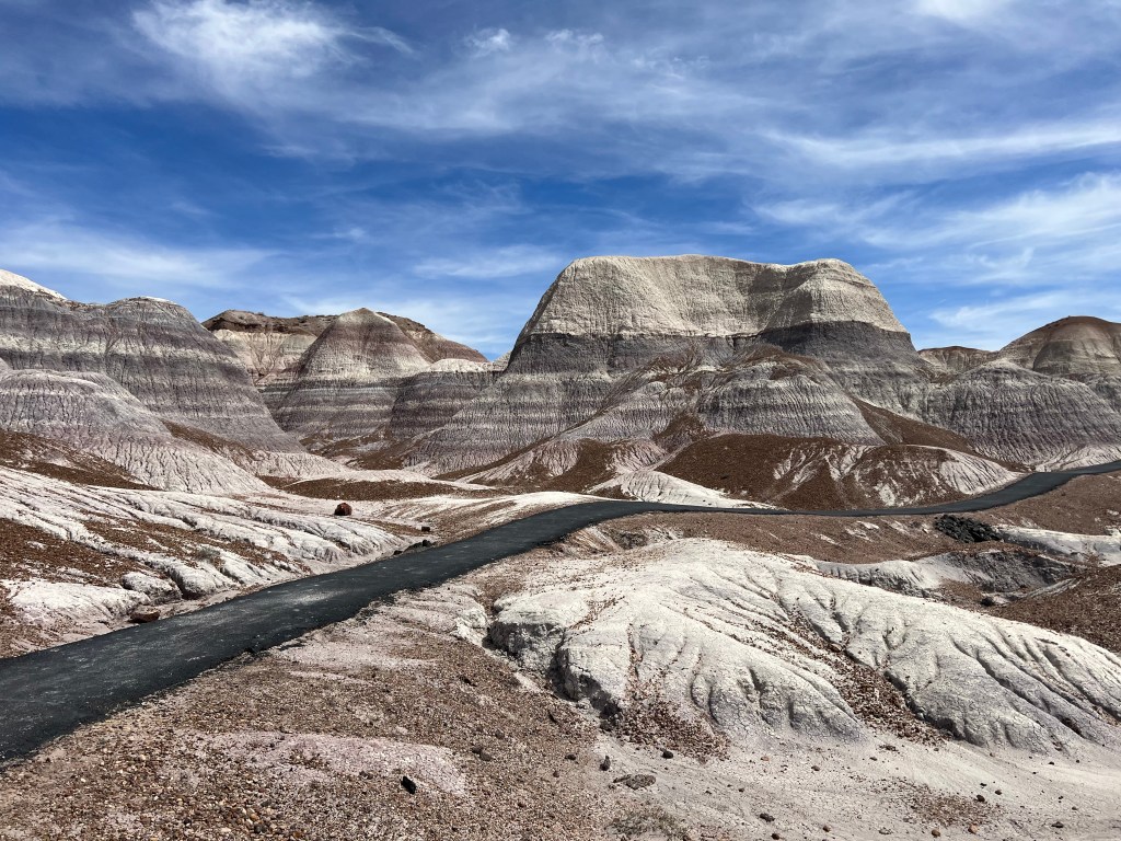 Petrified Forest National&nbsp;Park