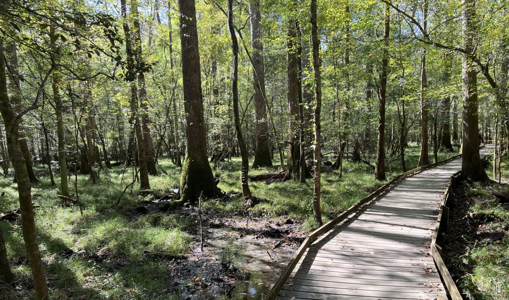 Congaree National Park